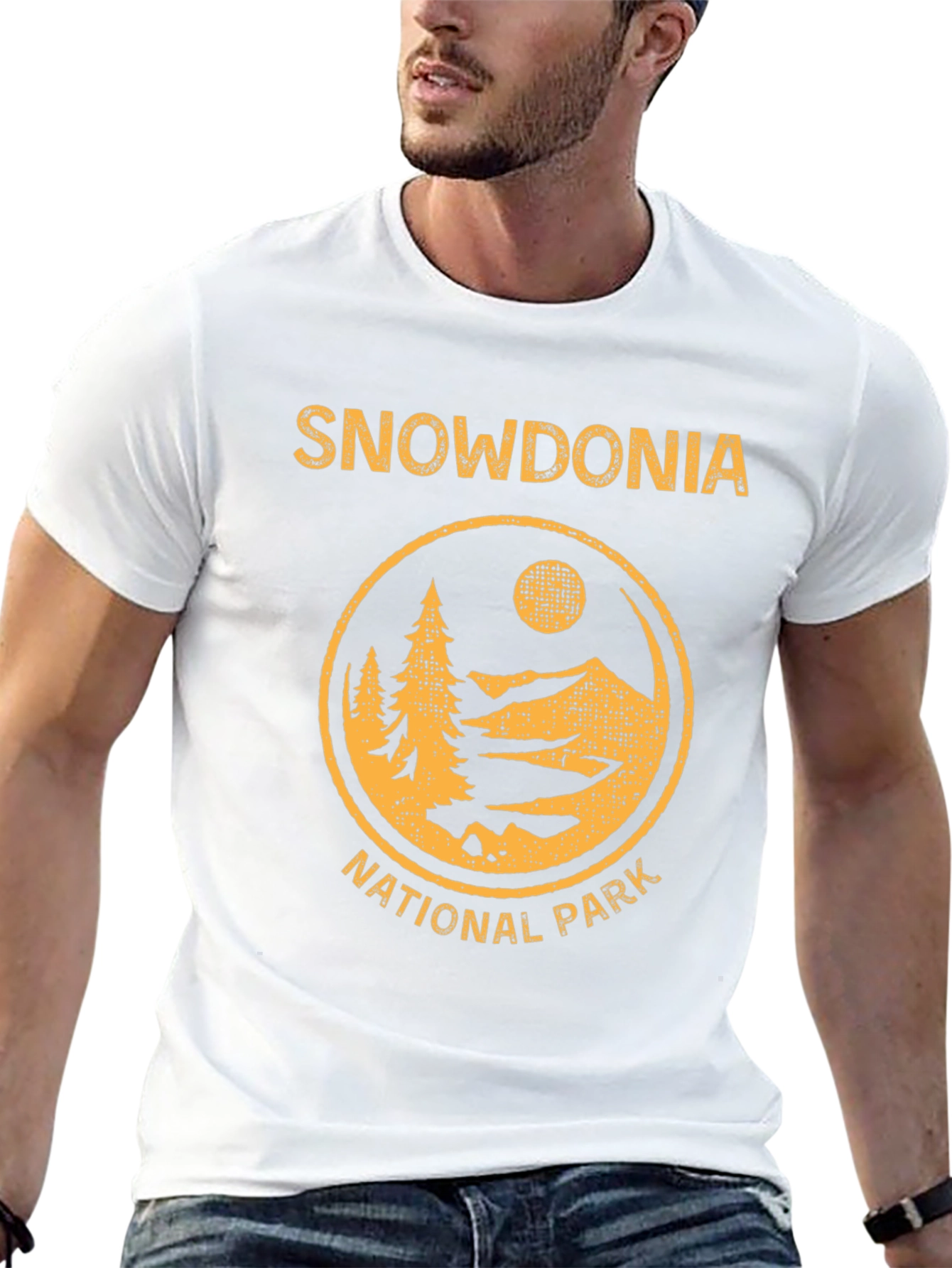 Snowdonia National Park Graphic Tee