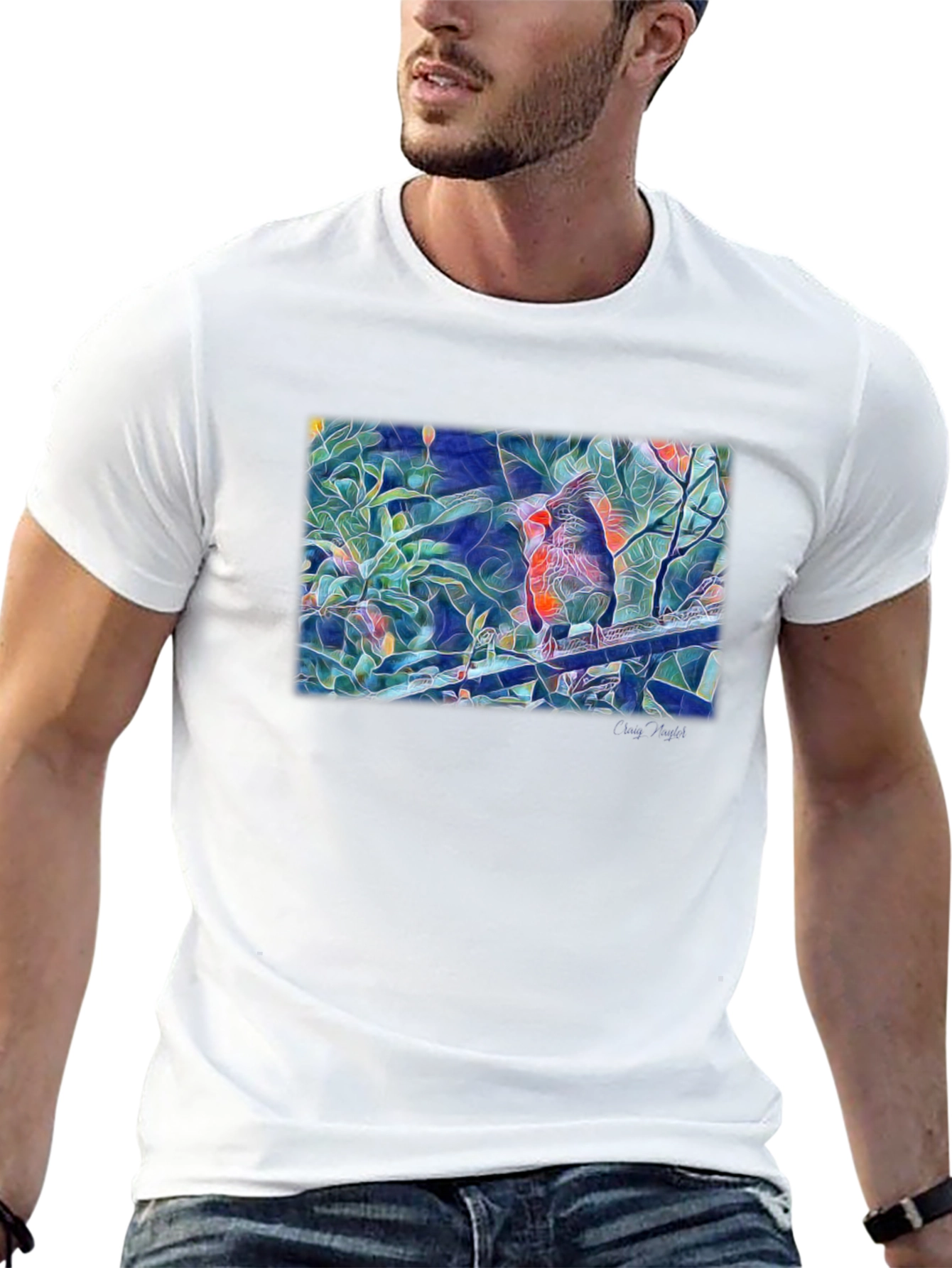 Cardinal Bird Art T-Shirt - Black