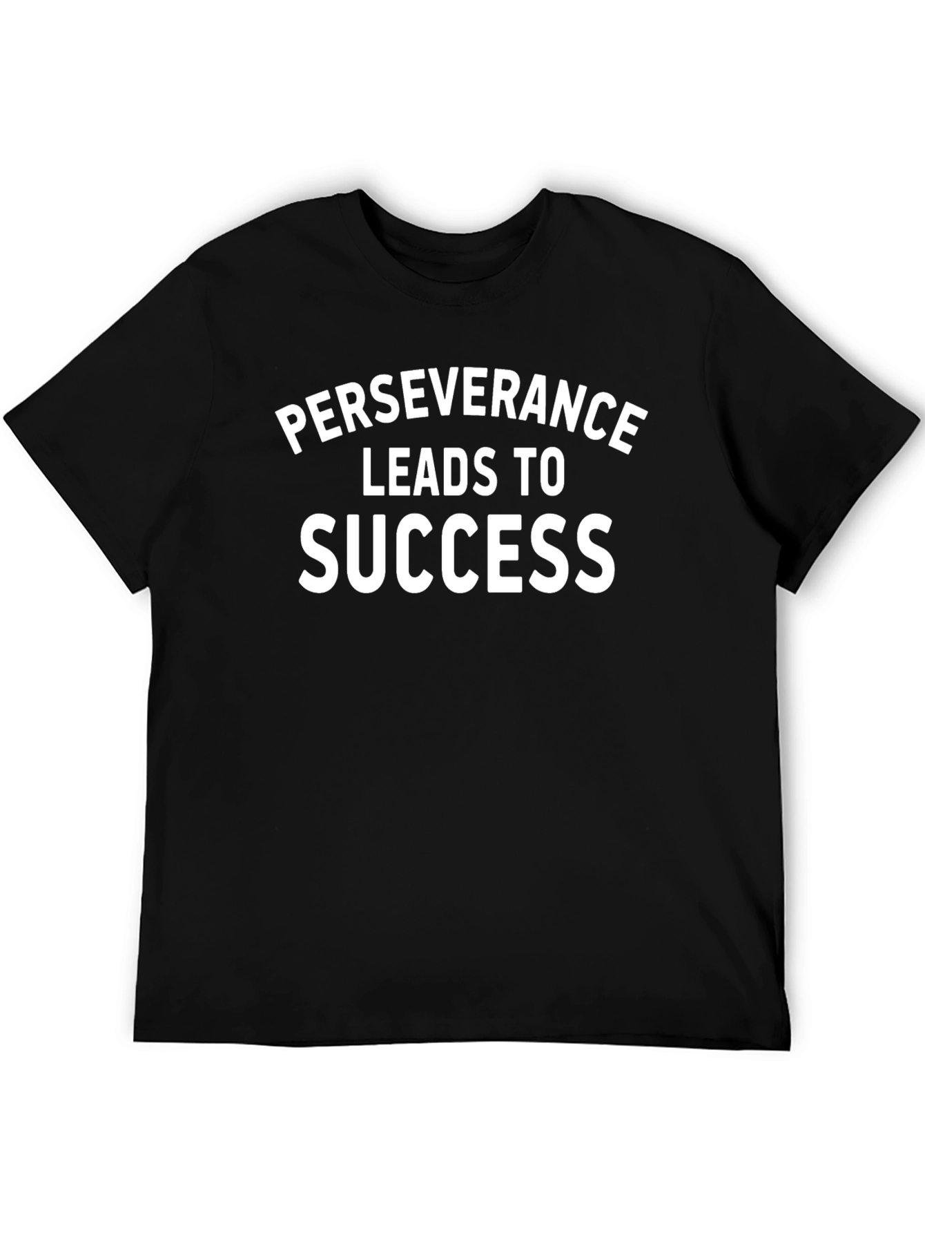 Perseverance Leads to Success T-Shirt