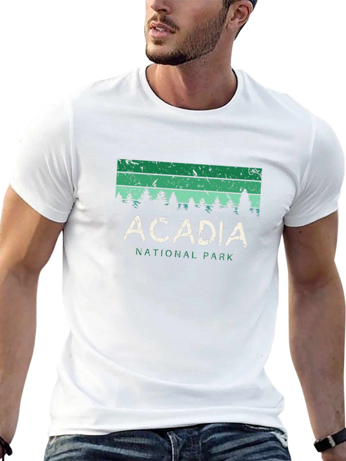 Acadia National Park Graphic Tee