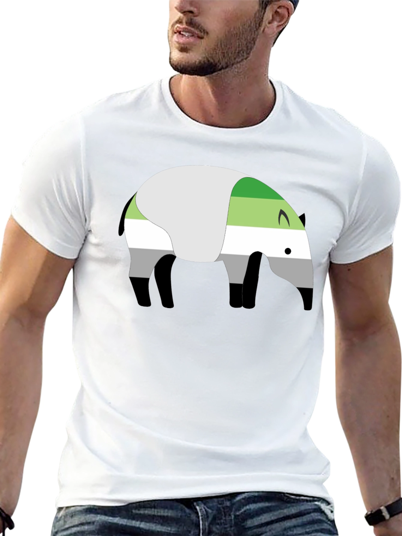 Aromantic Pride Tapir Graphic Tee
