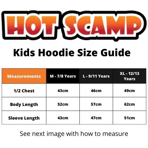 Funny Hoodie for Teen All I Need In Life Food Sleep WIFI Unisex Adults and Kids Hoodie Adulting Teenager WFH Computer Internet Hoody