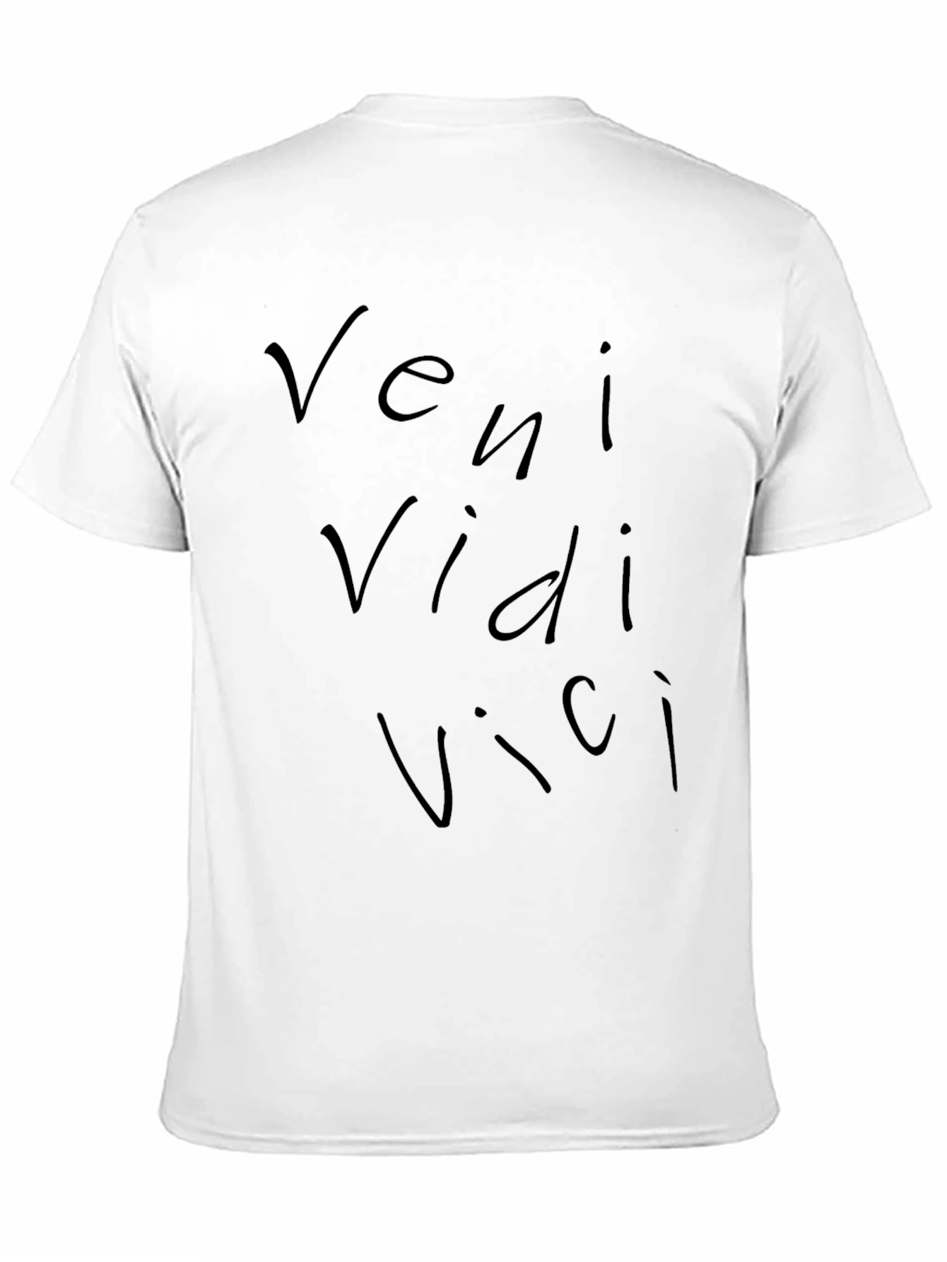 Veni Vidi Vici Black T-Shirt - Latin Quote Tee