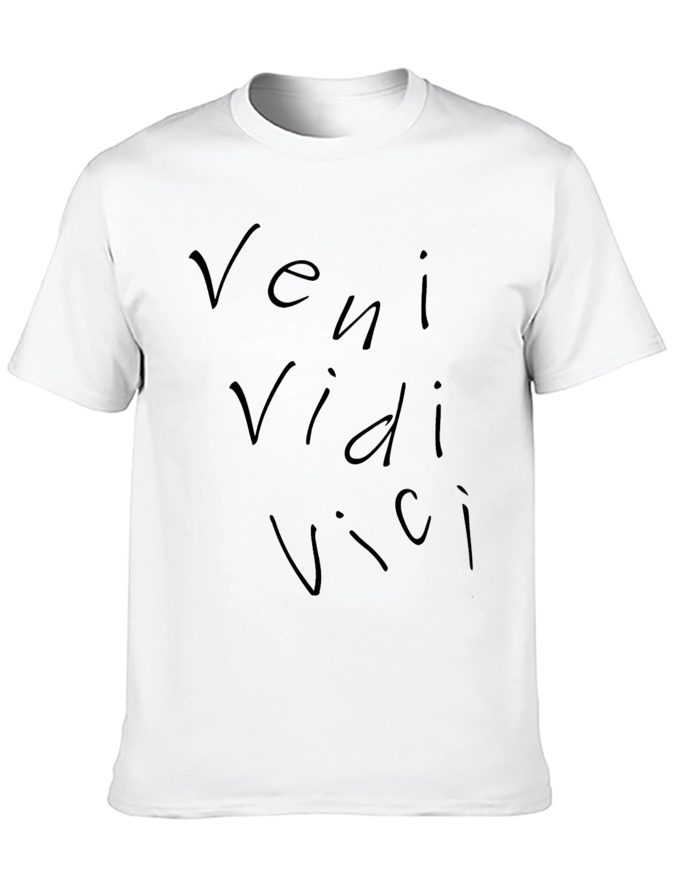 Veni Vidi Vici Black T-Shirt - Latin Quote Tee