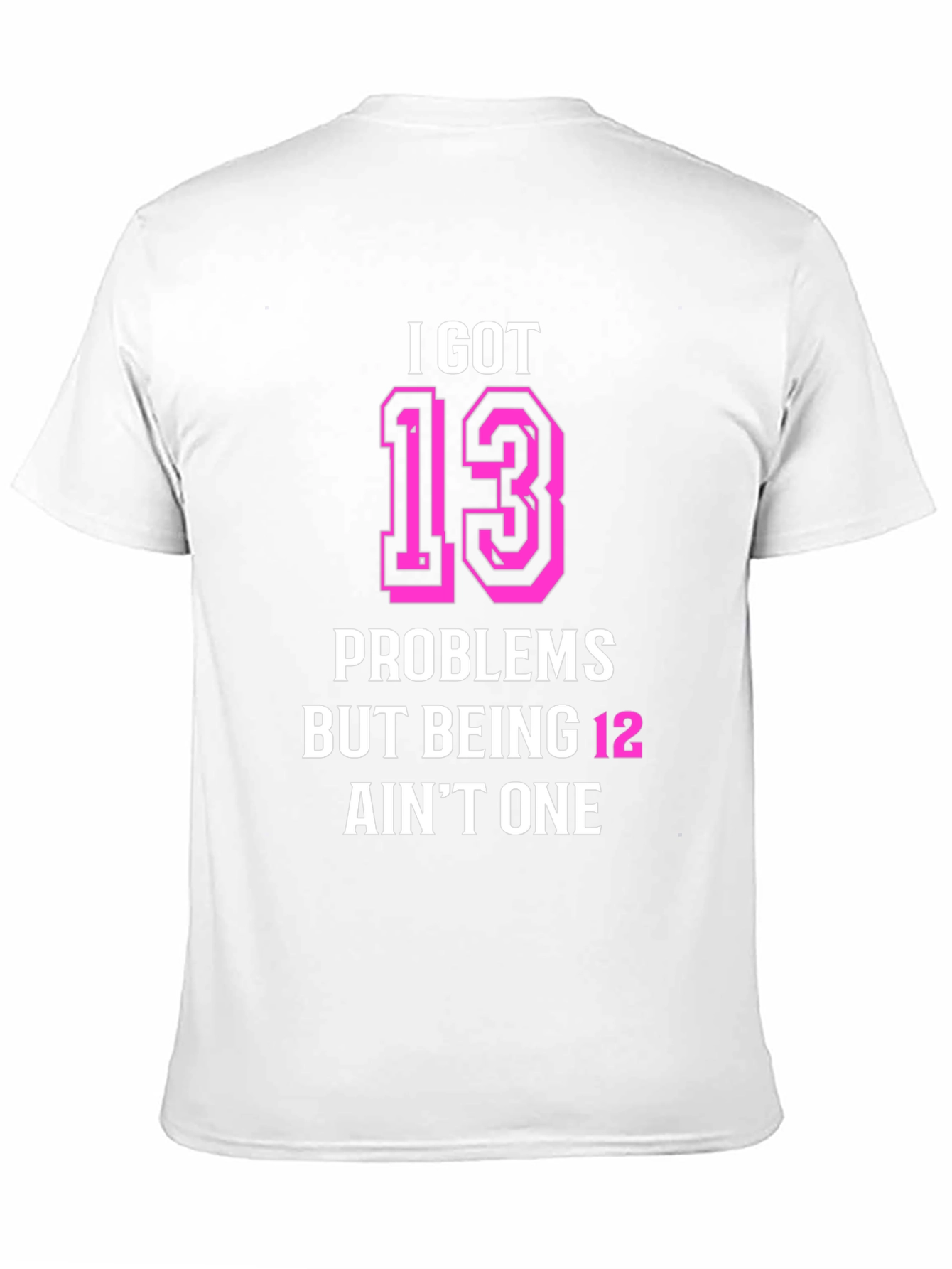 I Got 13 Problems Funny T-Shirt