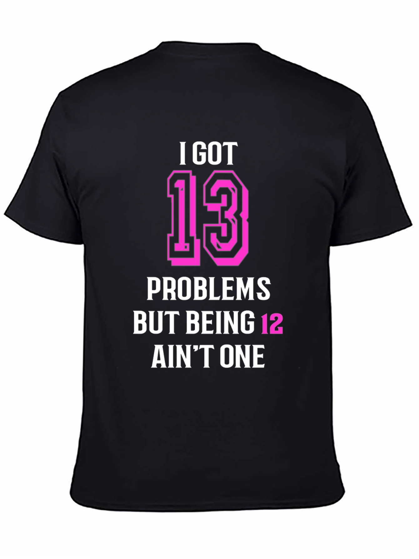 I Got 13 Problems Funny T-Shirt