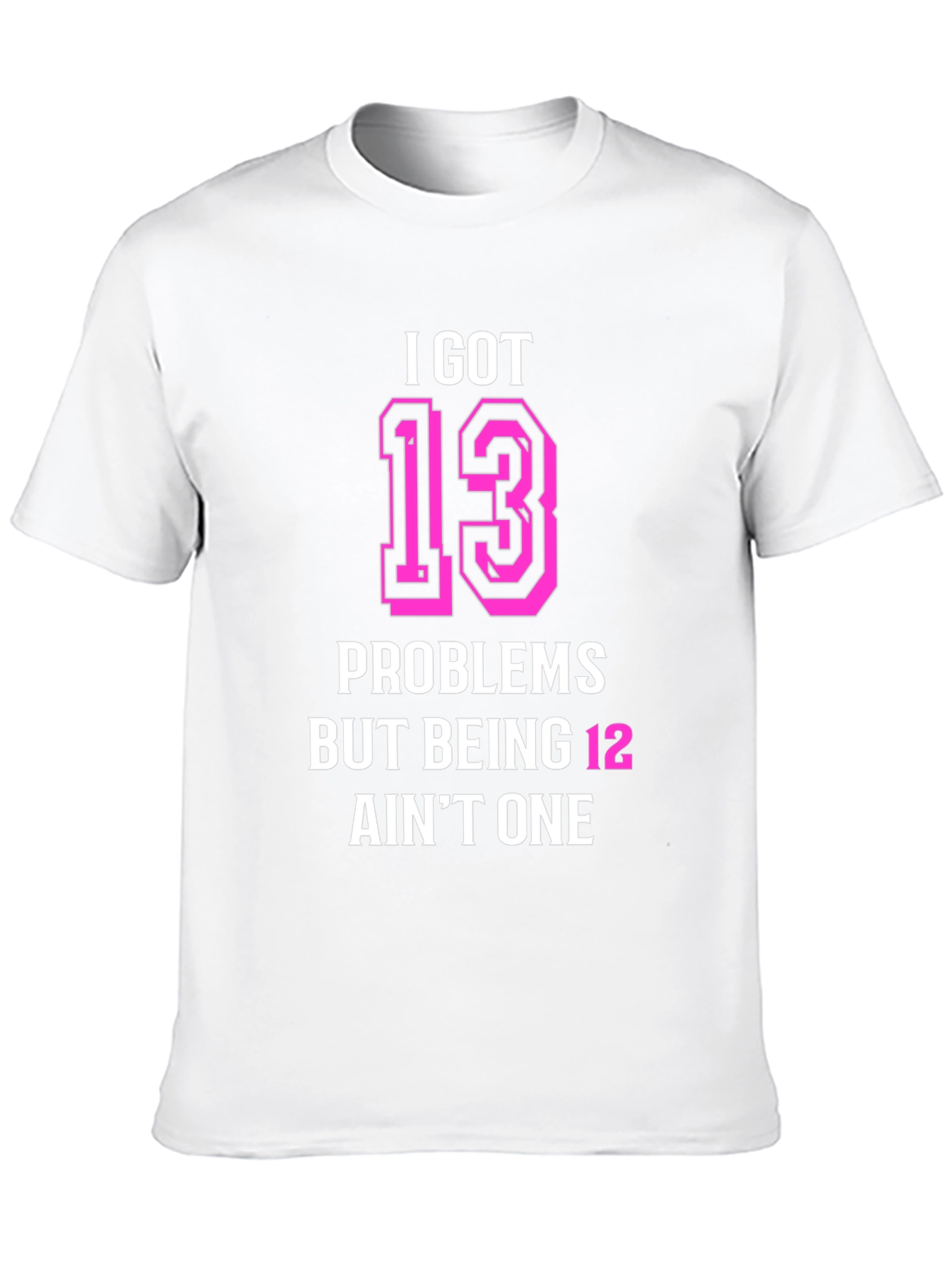 I Got 13 Problems Funny T-Shirt
