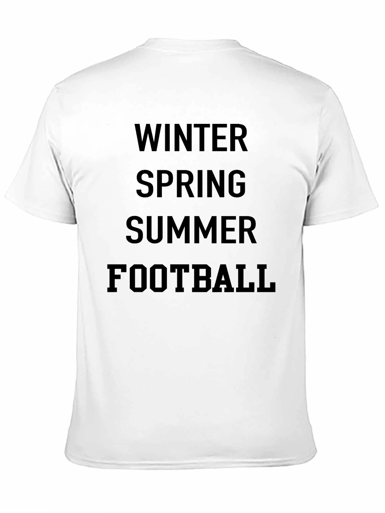 Seasons T-Shirt: Winter Spring Summer Football Tee