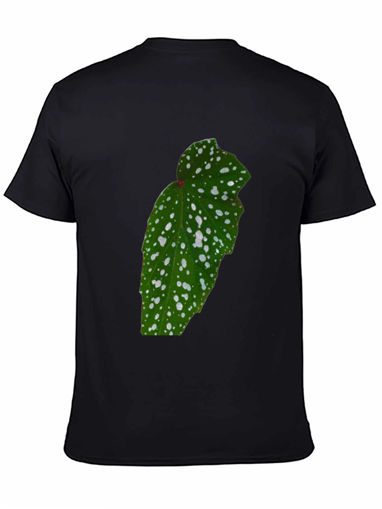 Botanical Begonia Black T-Shirt