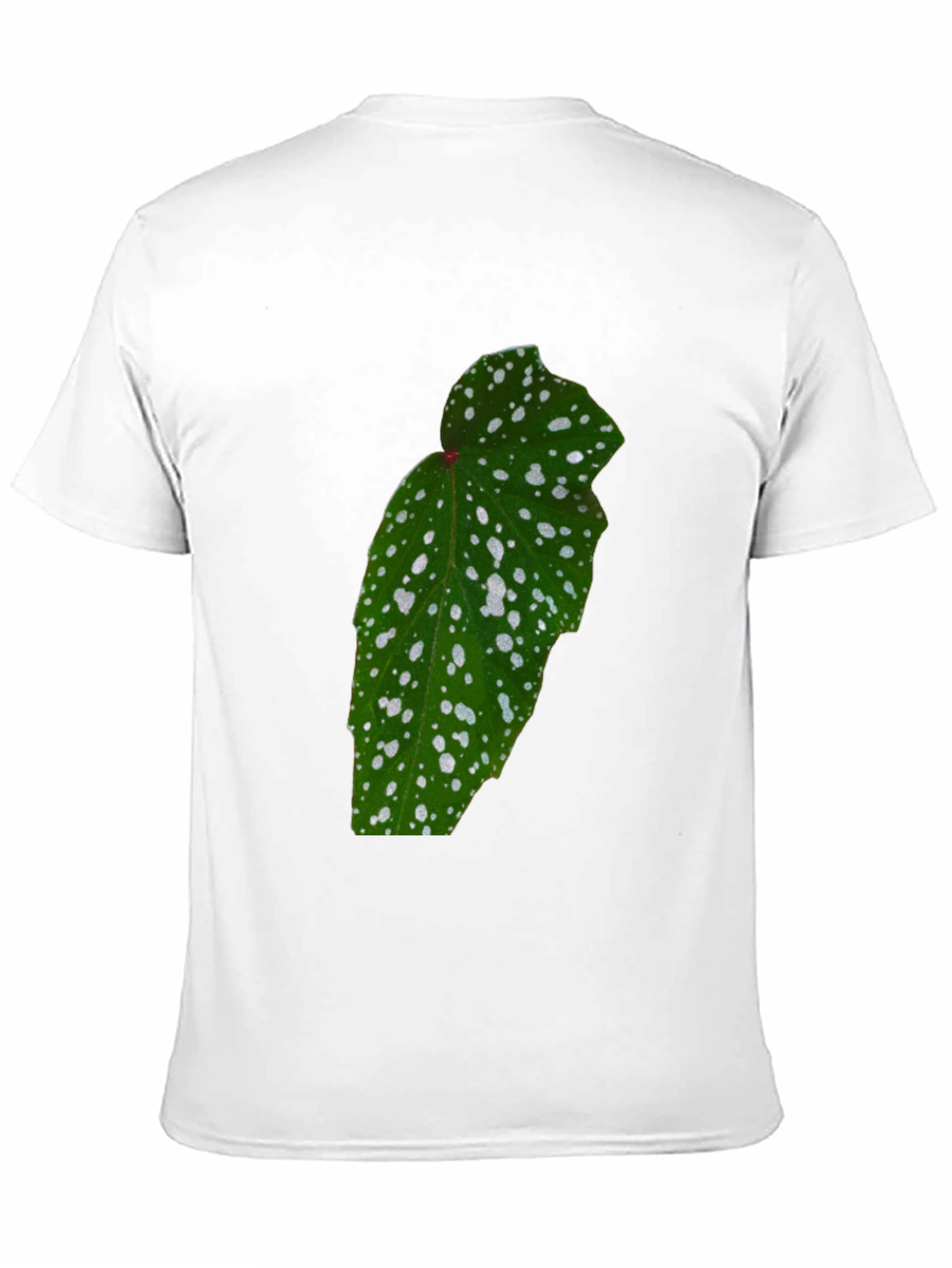 Botanical Begonia Black T-Shirt