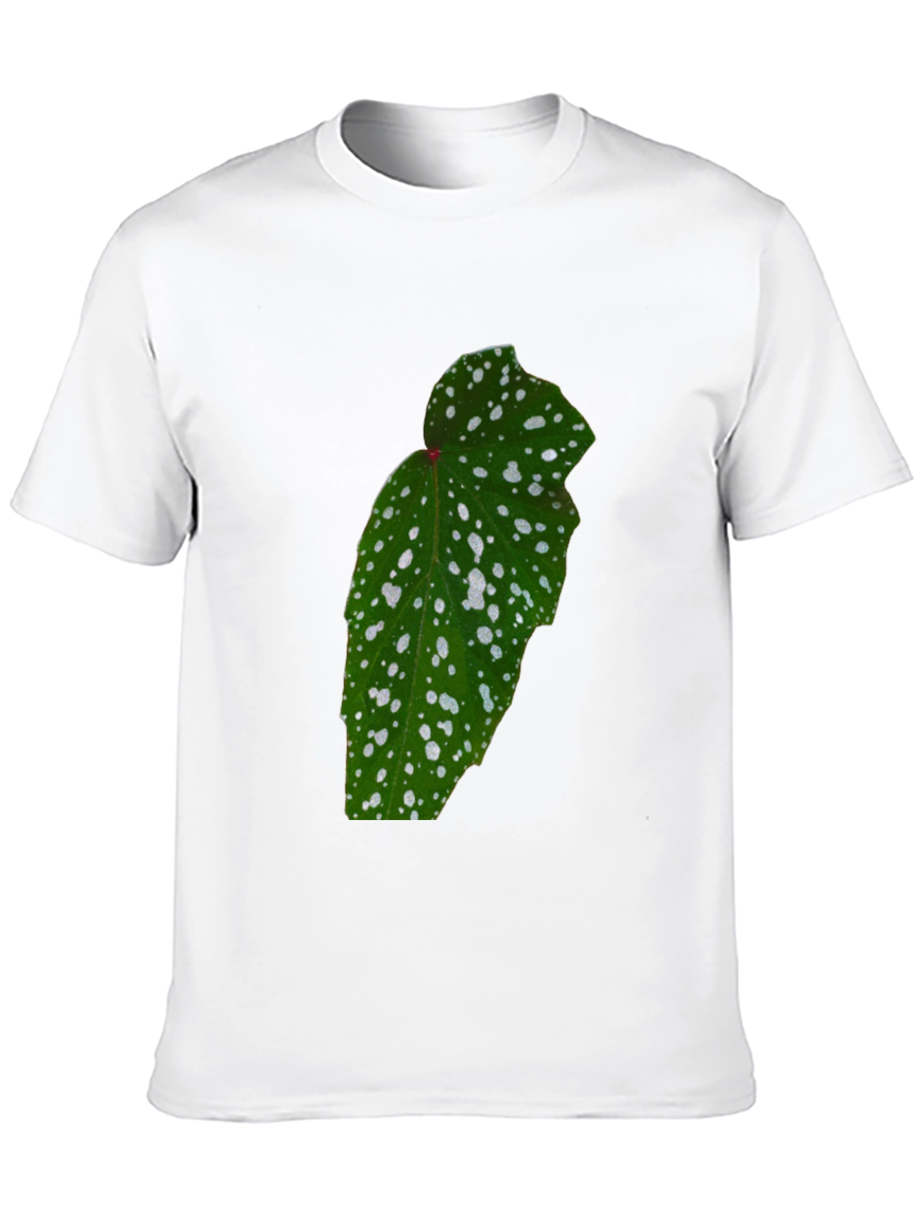 Botanical Begonia Black T-Shirt