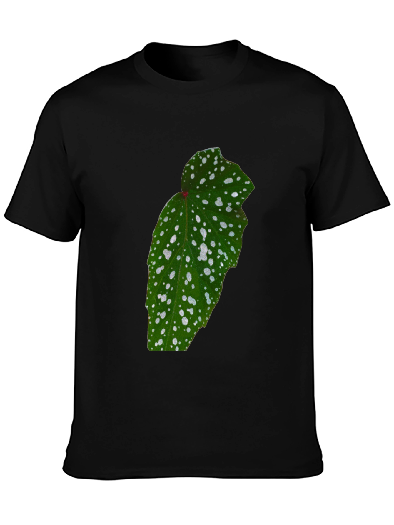 Botanical Begonia Black T-Shirt