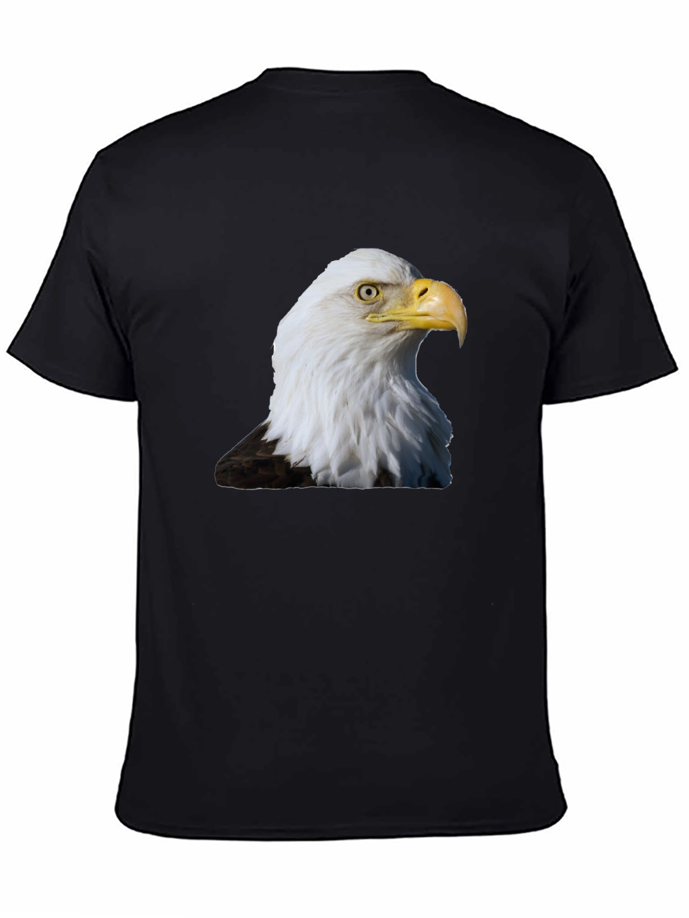 Bald Eagle Graphic Print T-Shirt - Black