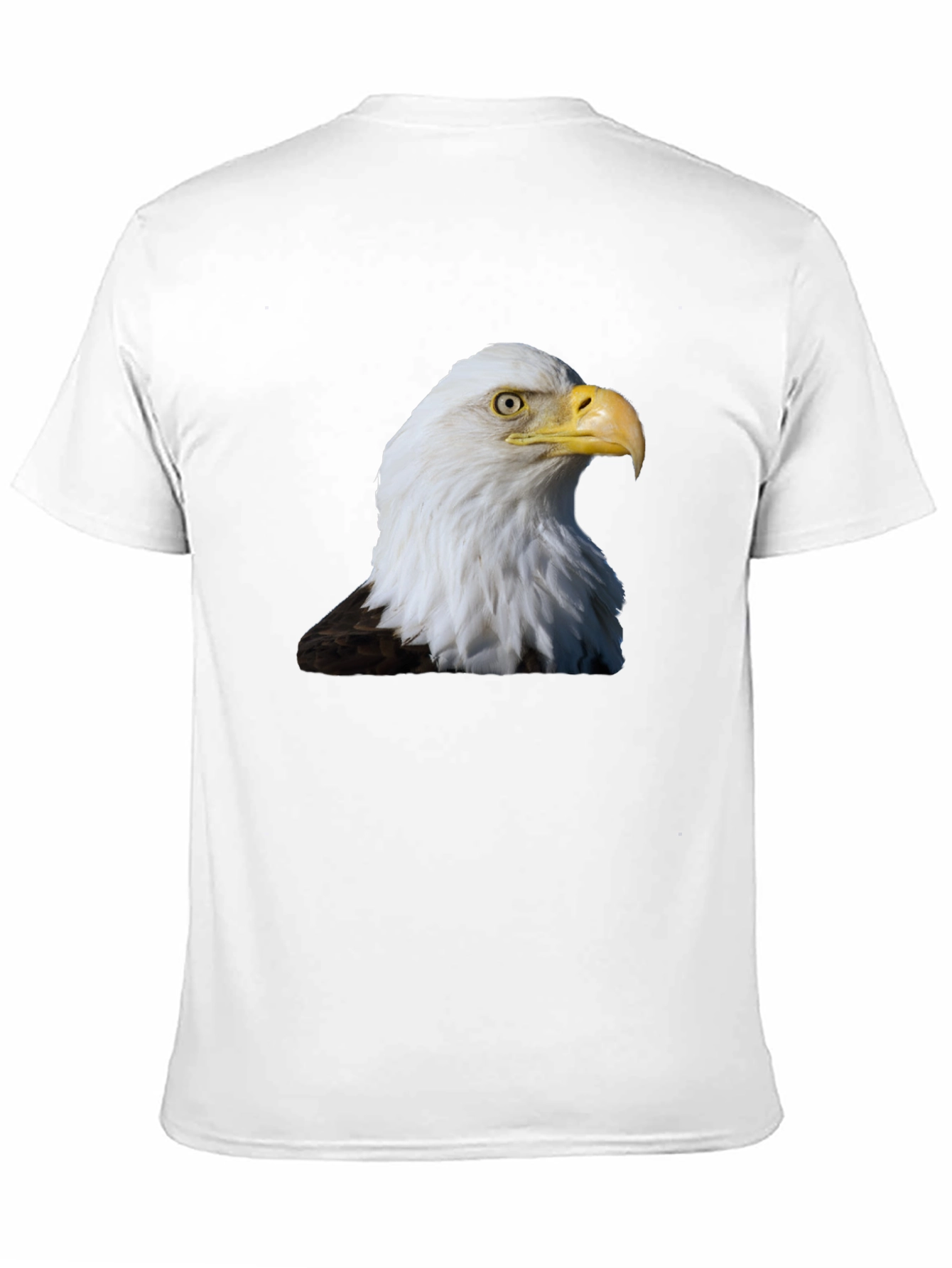 Bald Eagle Graphic Print T-Shirt - Black