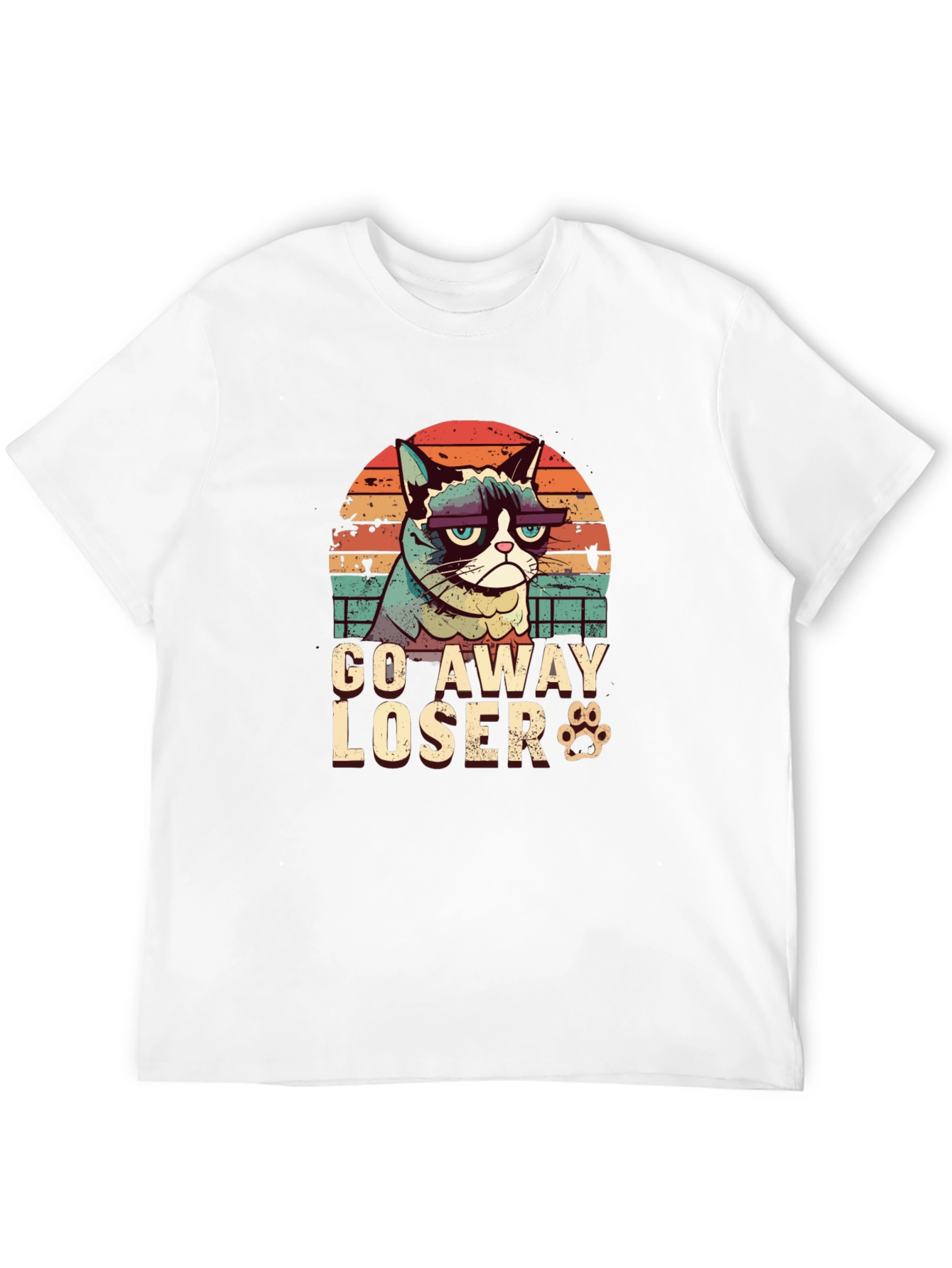 Grumpy Cat Go Away Loser T-Shirt