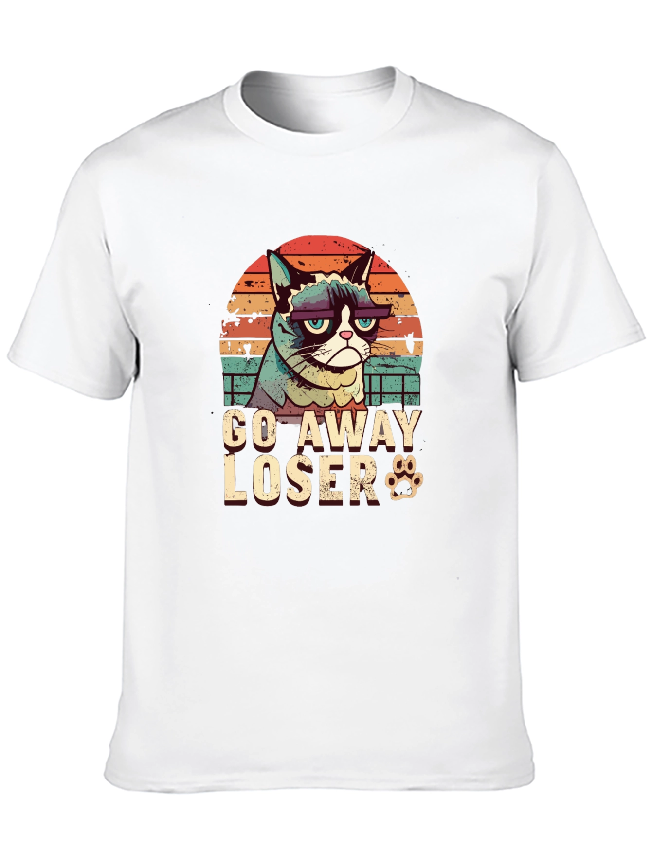 Grumpy Cat Go Away Loser T-Shirt