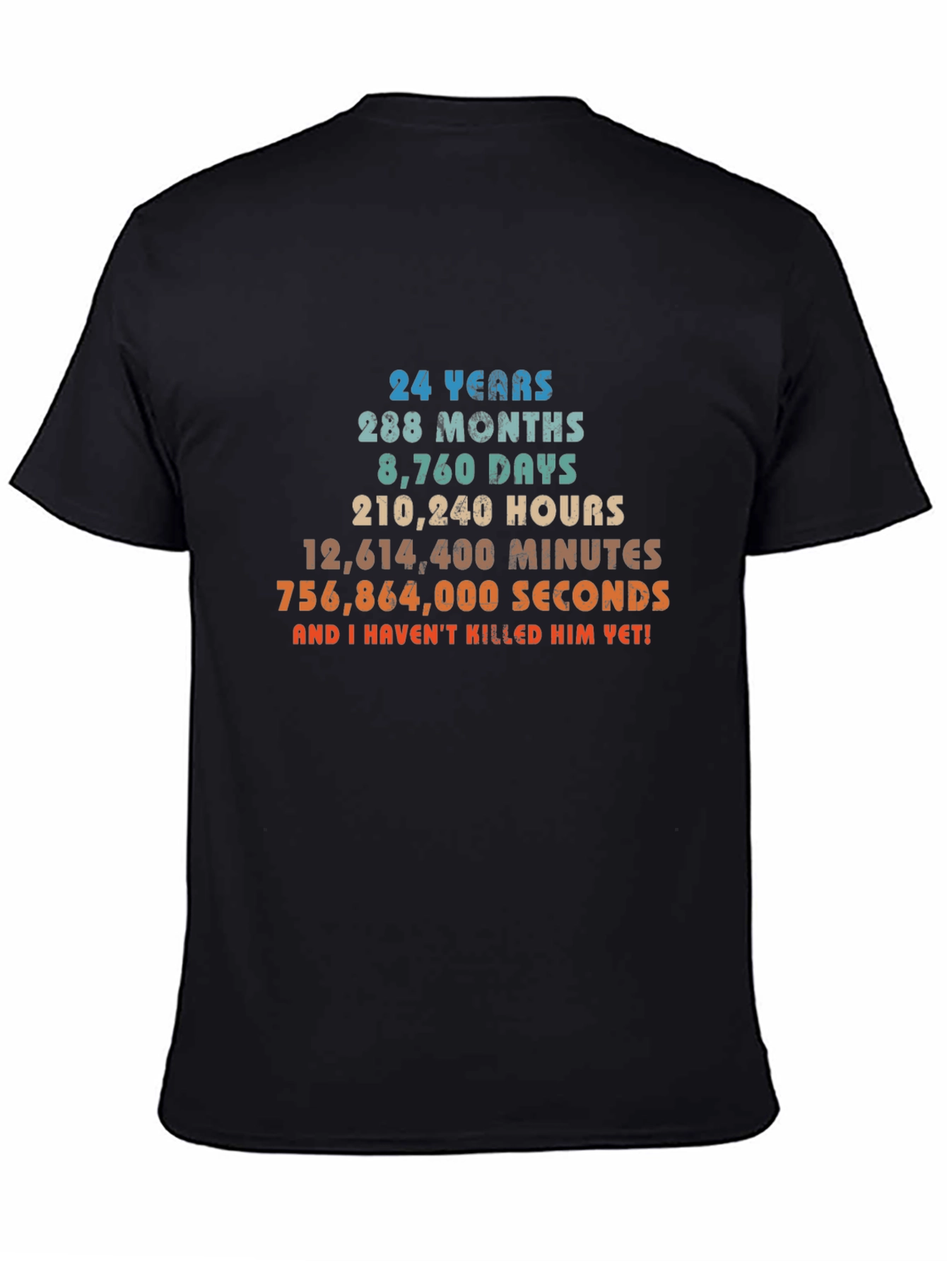 24 Years Anniversary Novelty Graphic T-Shirt