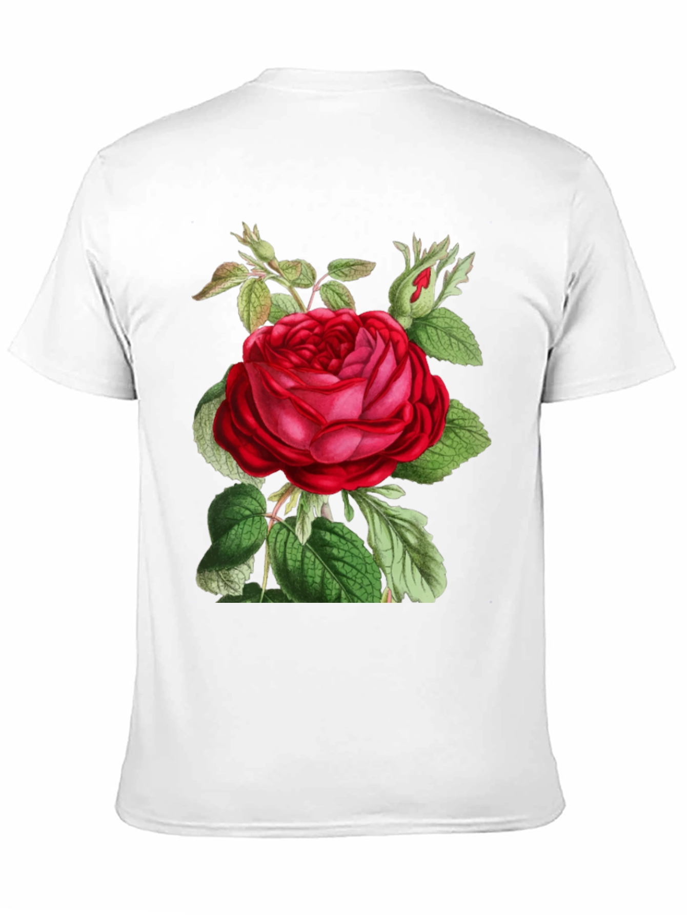 Red Rose Graphic T-Shirt - Botanical Design