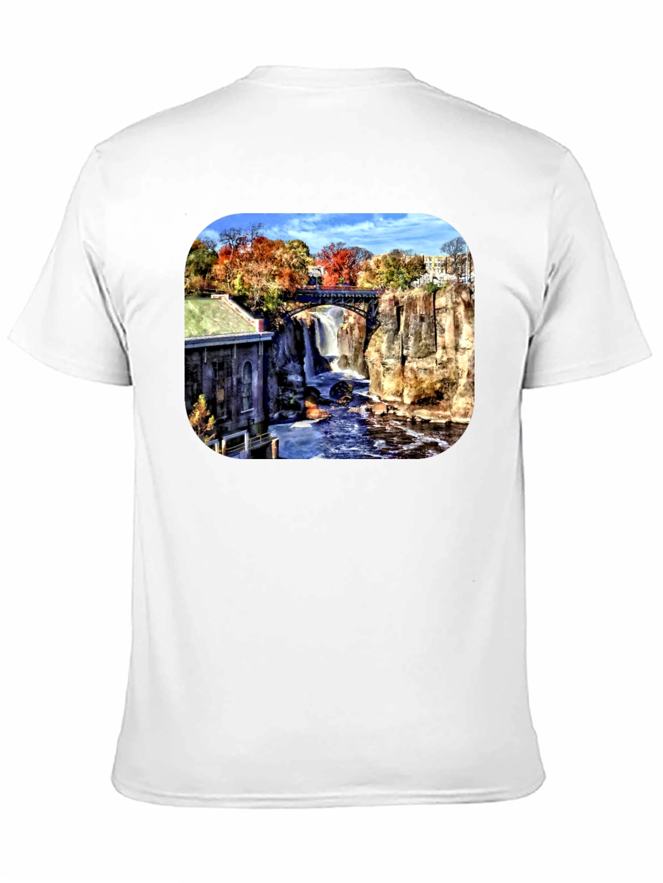 Scenic Waterfall Graphic Tee - Black