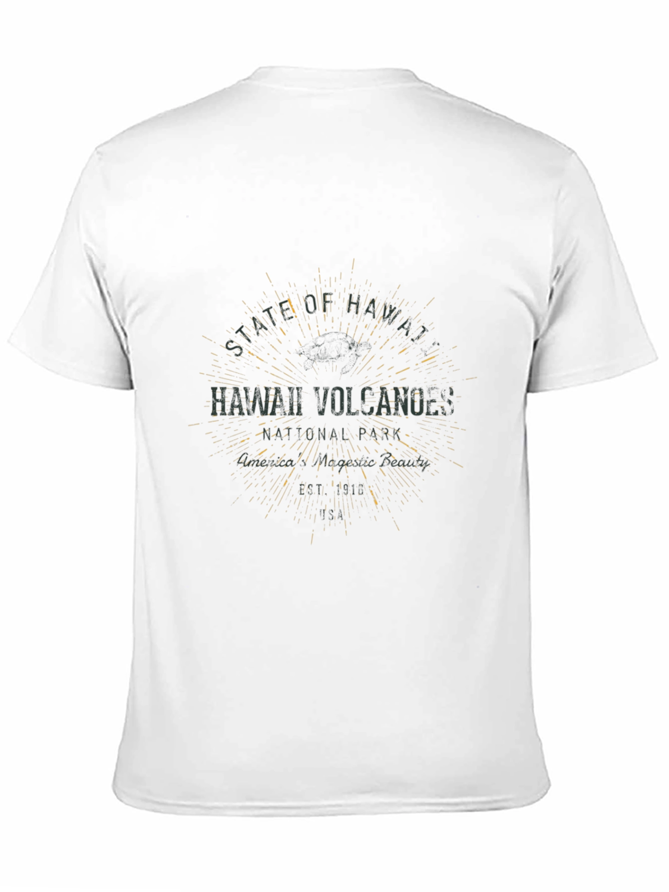 Hawaii Volcanoes Graphic T-Shirt - Black