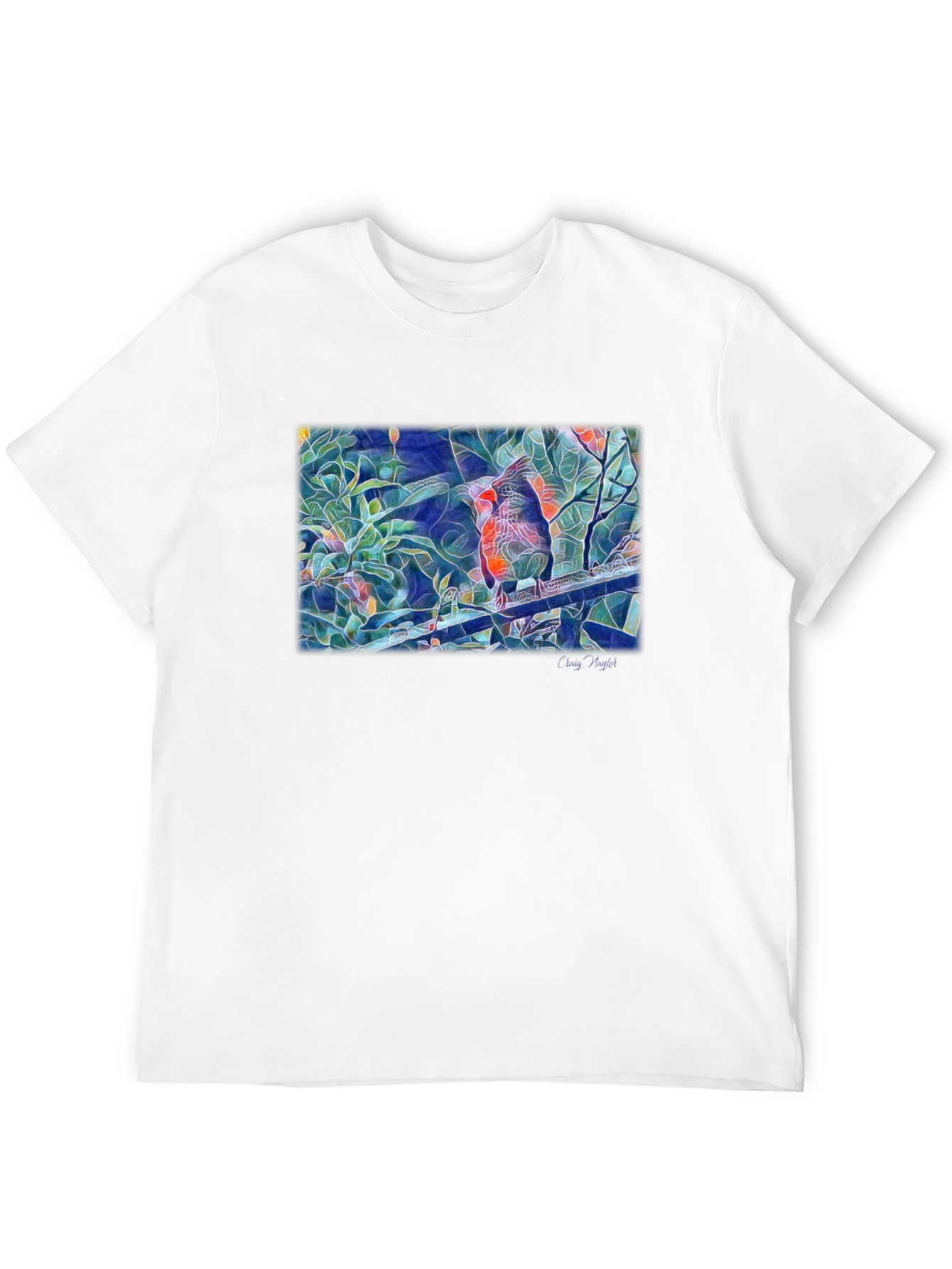 Cardinal Bird Art T-Shirt - Black