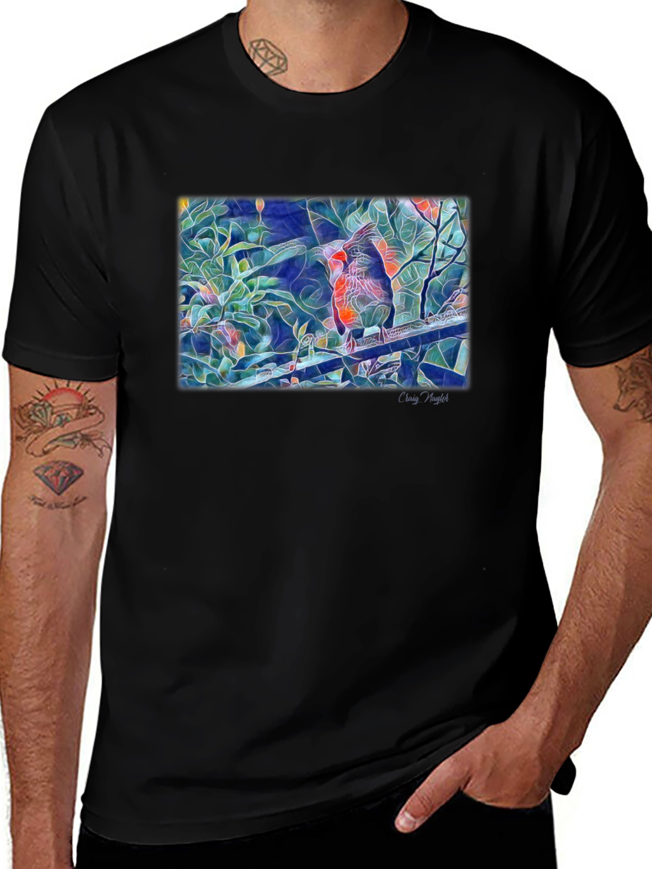 Cardinal Bird Art T-Shirt - Black