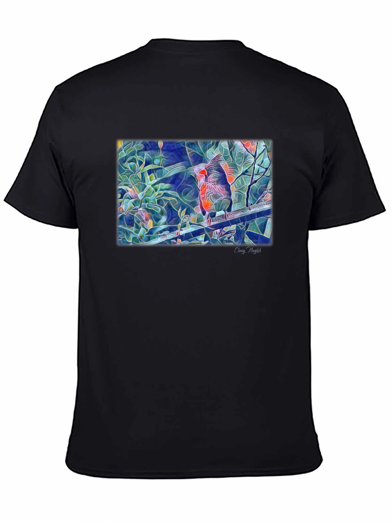 Cardinal Bird Art T-Shirt - Black