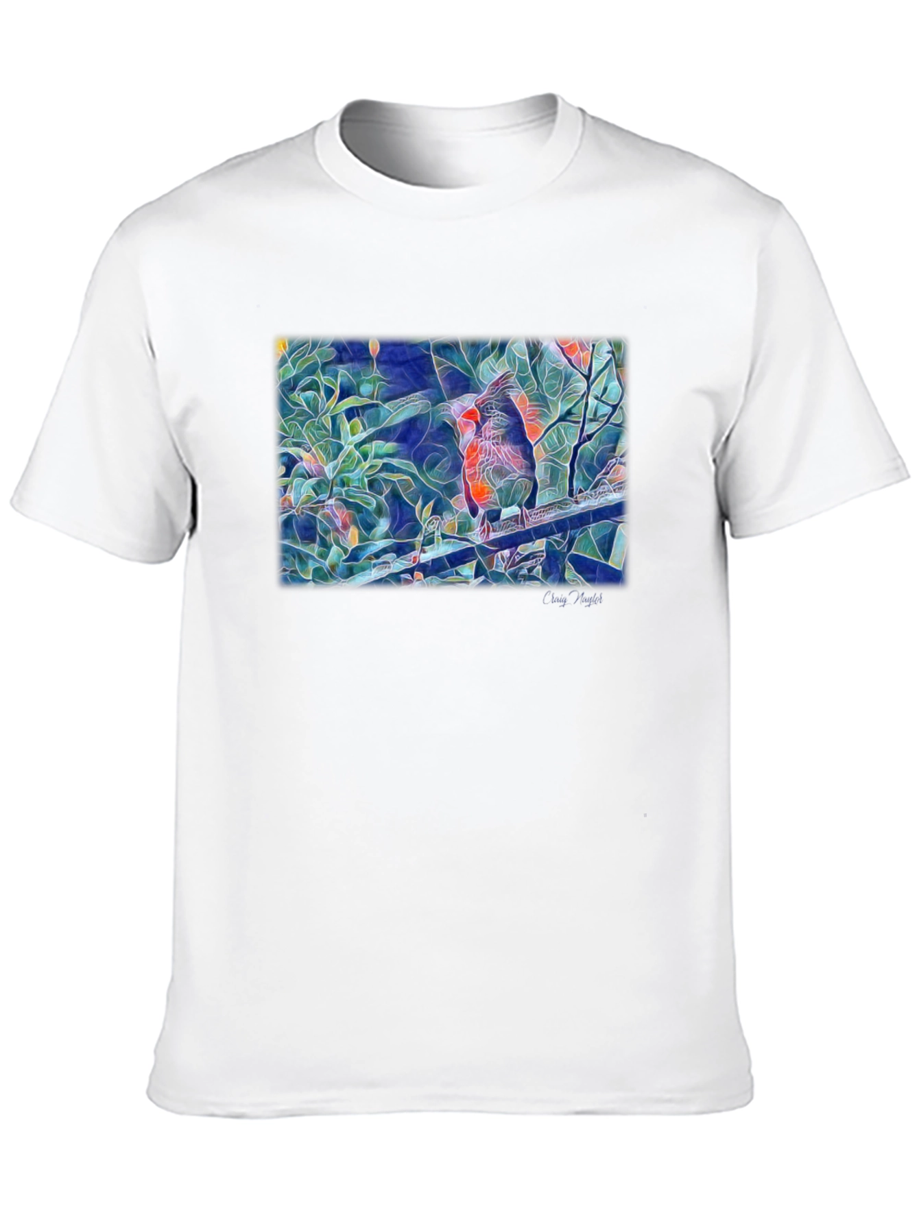 Cardinal Bird Art T-Shirt - Black