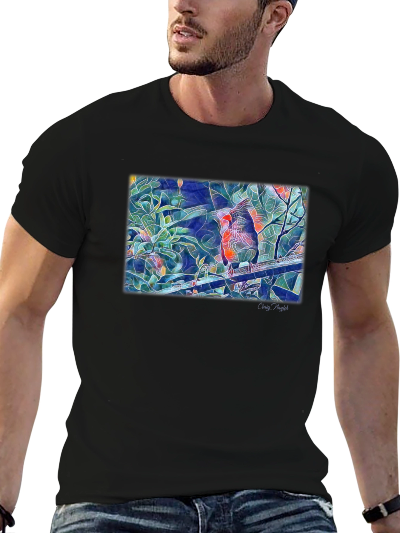 Cardinal Bird Art T-Shirt - Black
