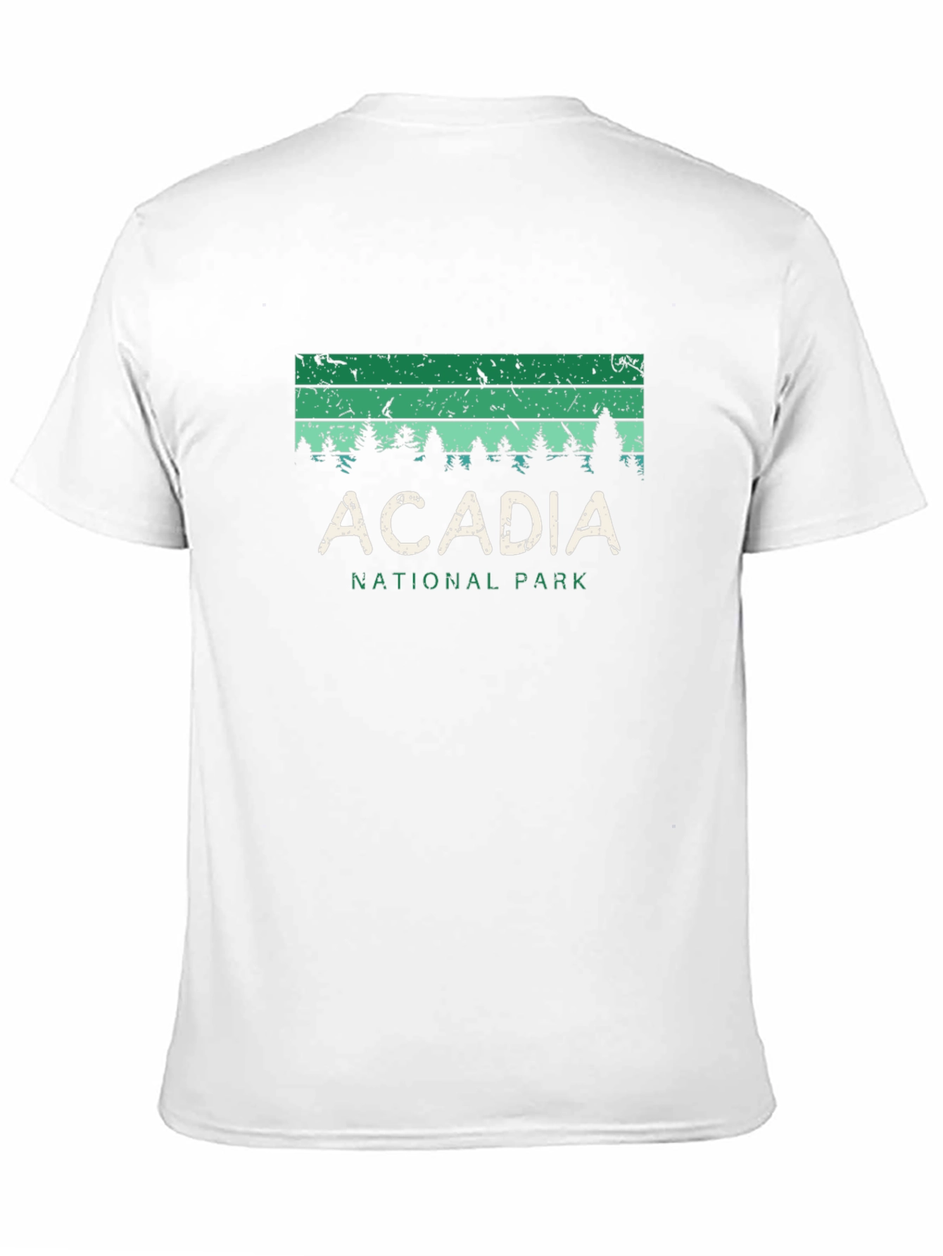 Acadia National Park Graphic Tee