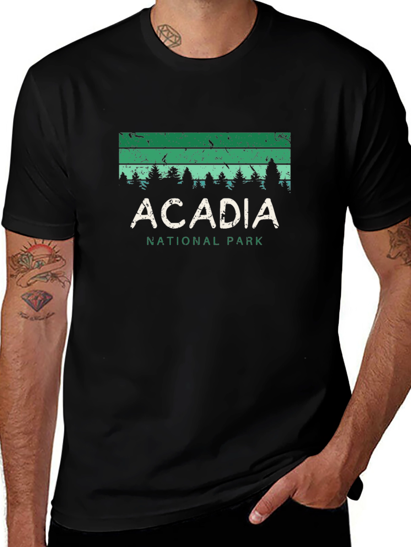 Acadia National Park Graphic Tee