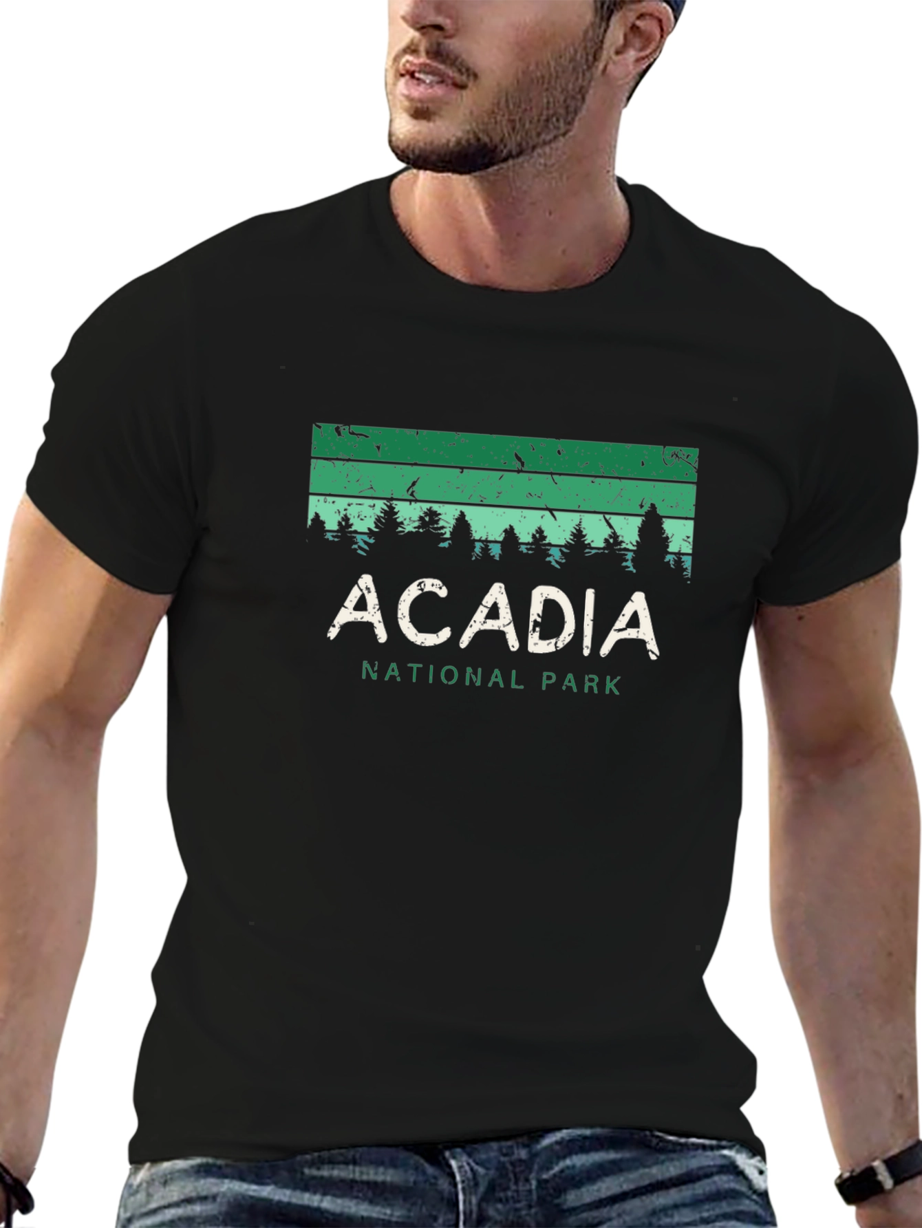 Acadia National Park Graphic Tee