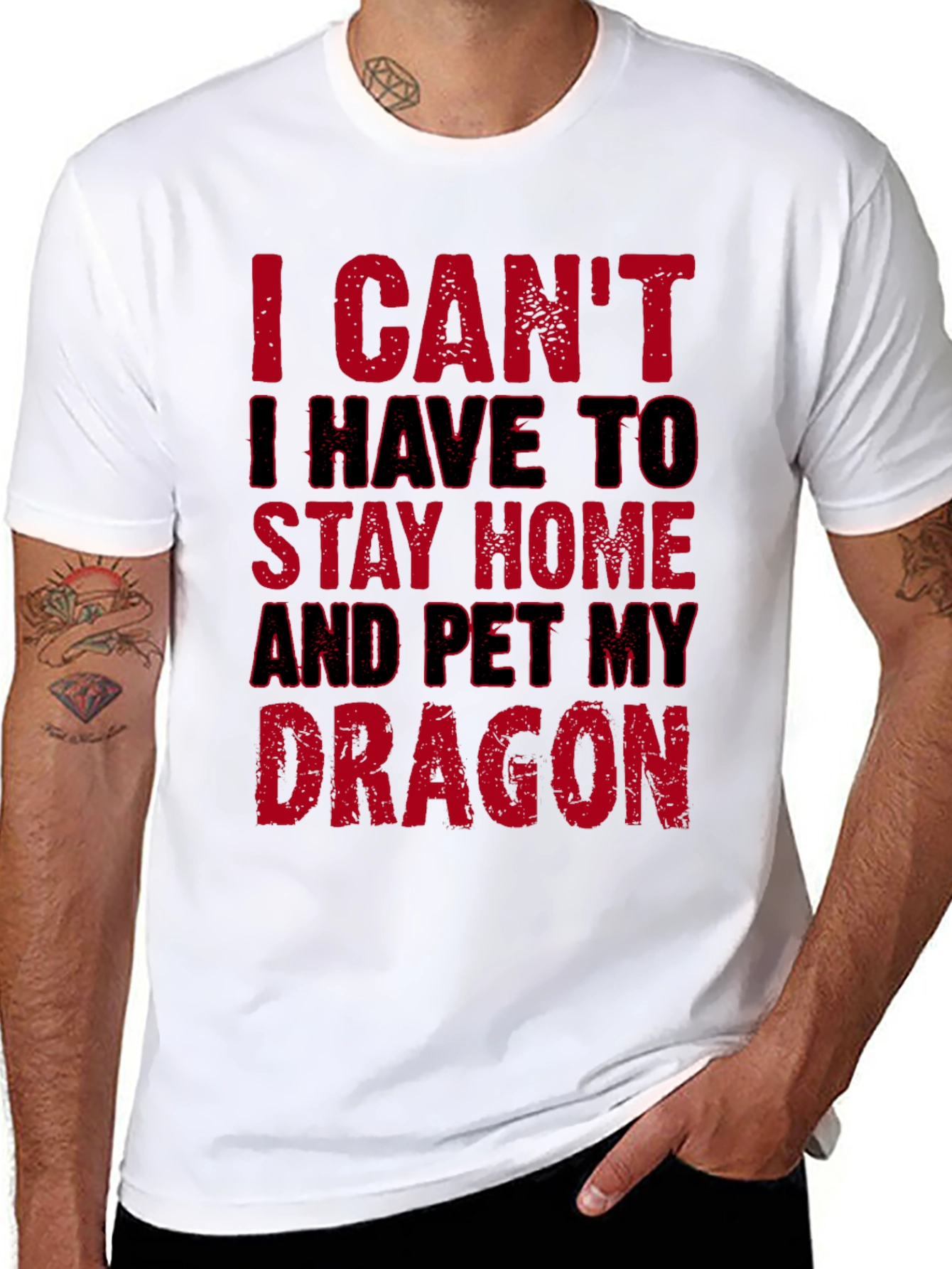 Pet My Dragon T-Shirt - Stay Home Funny Tee