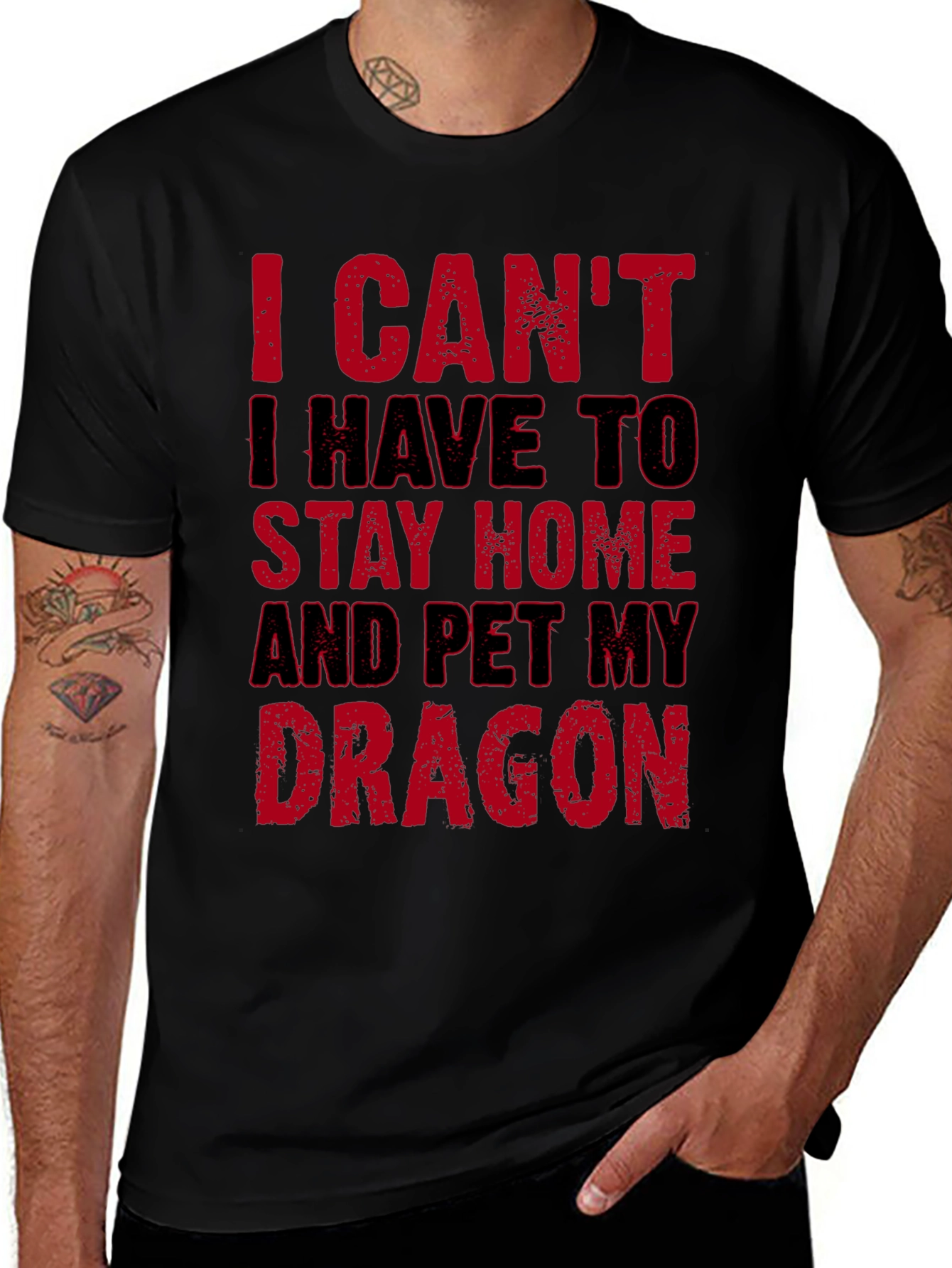 Pet My Dragon T-Shirt - Stay Home Funny Tee