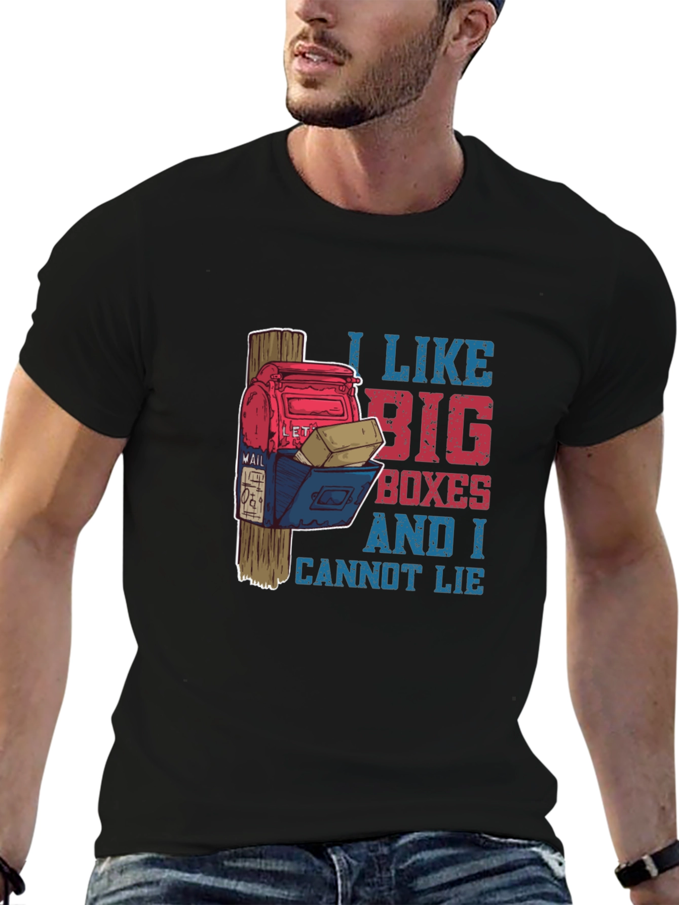 Funny Mailbox T-Shirt: I Like Big Boxes